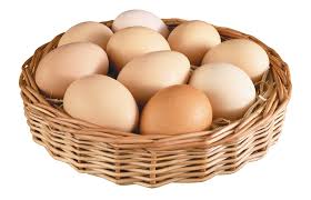 Технические условия пищевых яиц