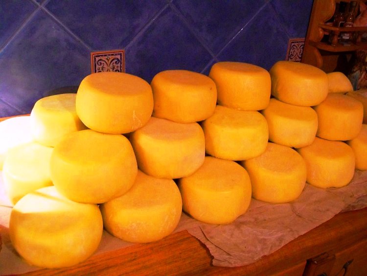 Сертификация сыра в России. Основные требования и особенности