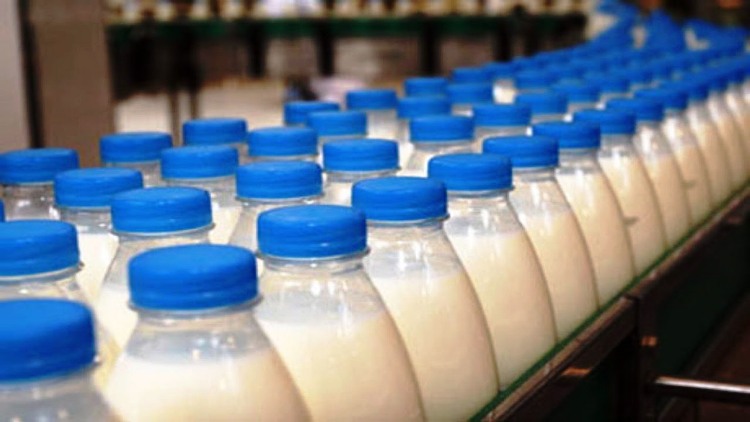 Общие технические условия на молоко коровье ГОСТ 31450 2013