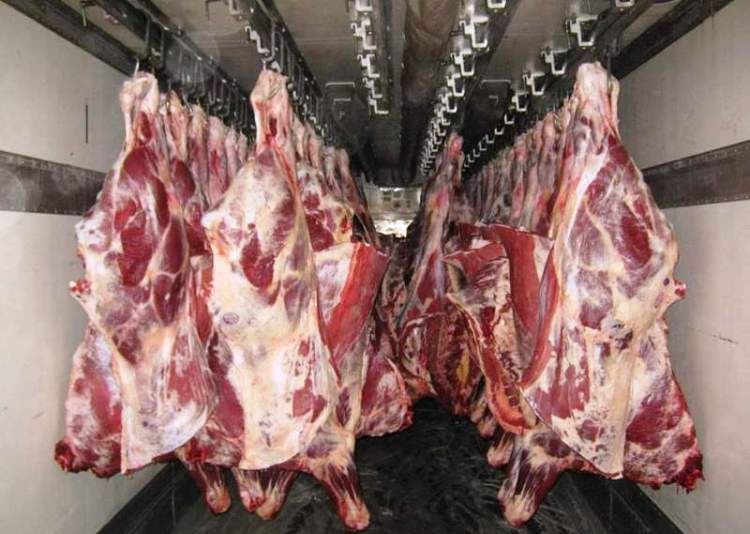 Сертификация мясной продукции с Компанией «Астелс»